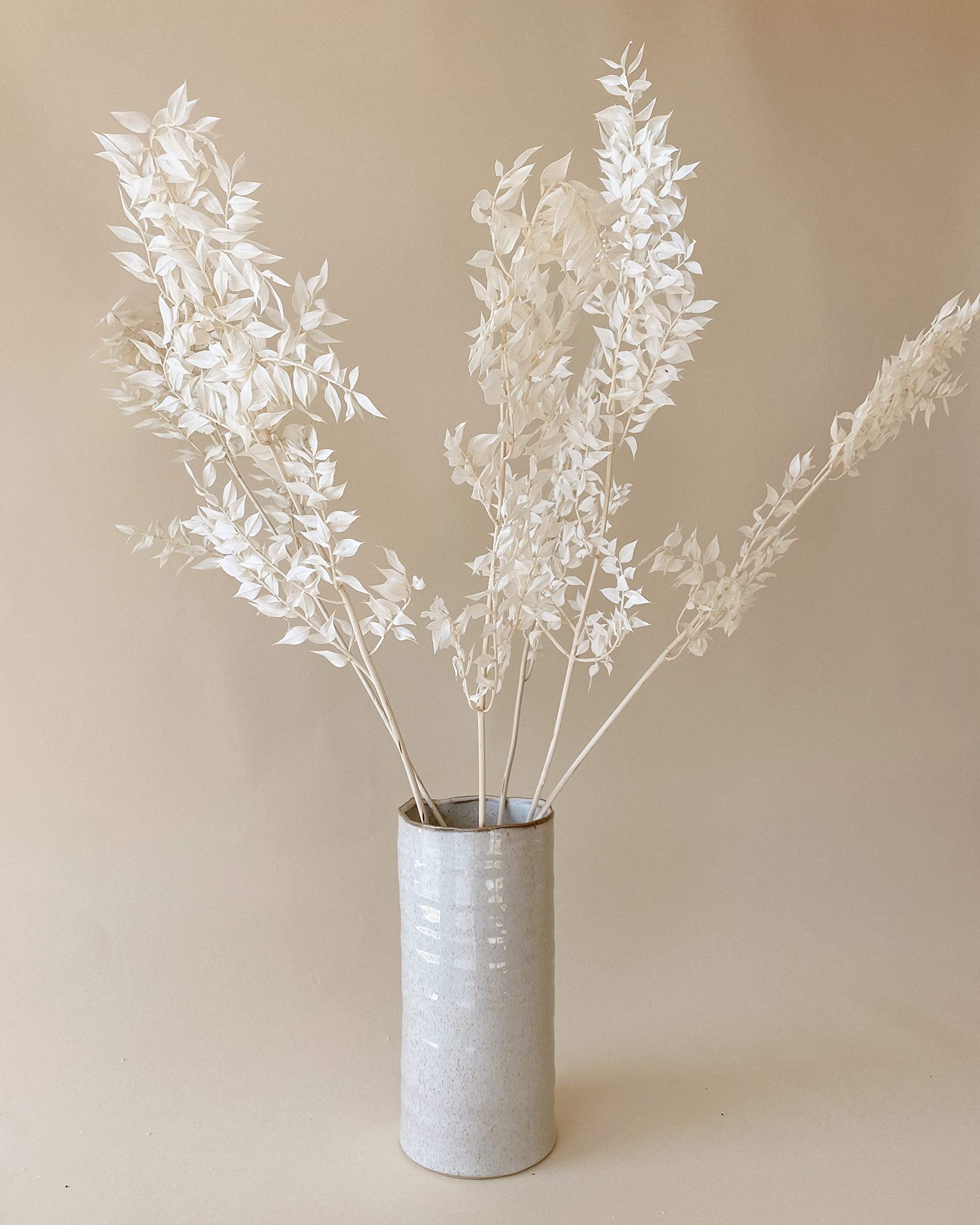 natural leaf size variation ruscus bunch