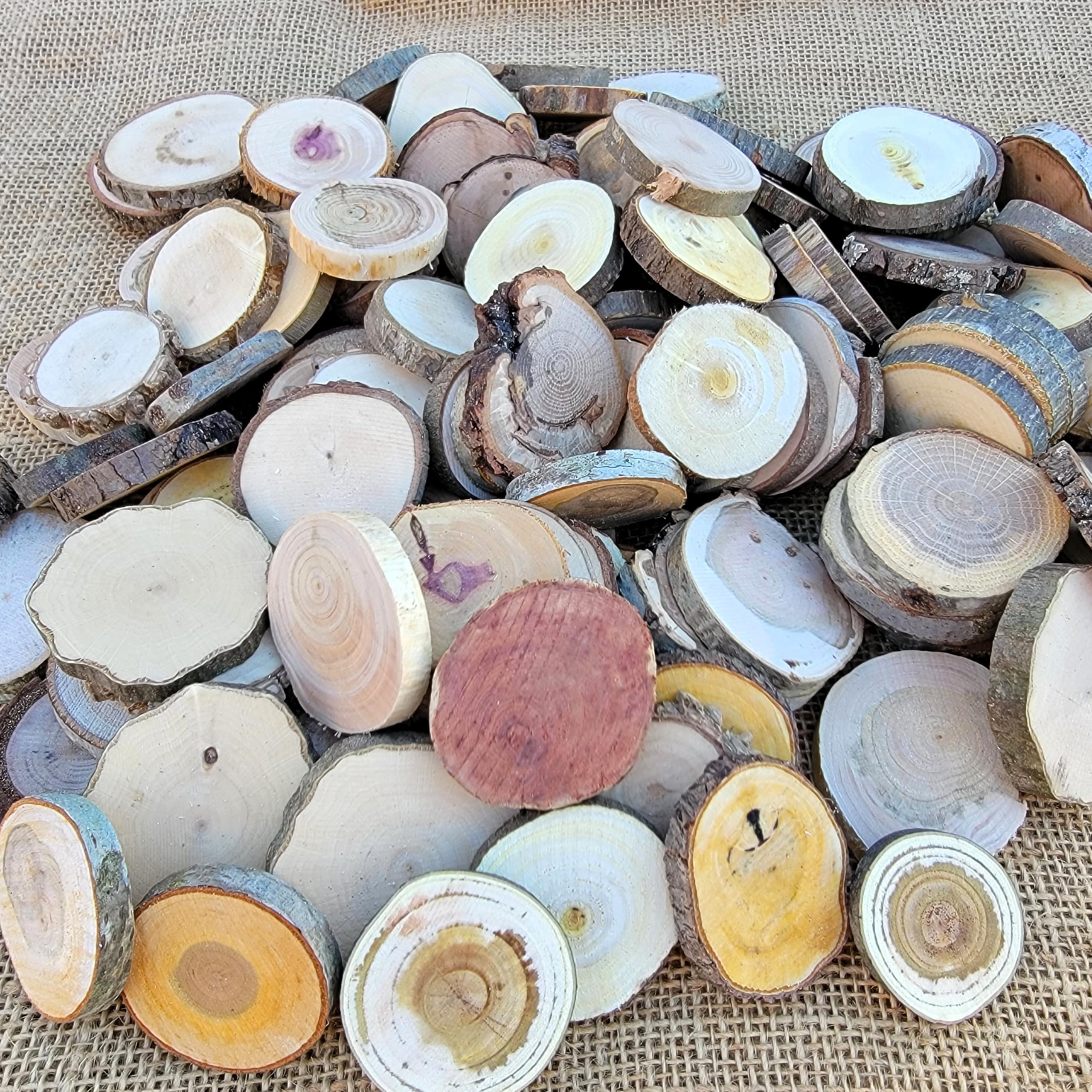Natural unfinished wood slices 100 count