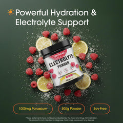 NatureBell Electrolytes Powder 500 g size