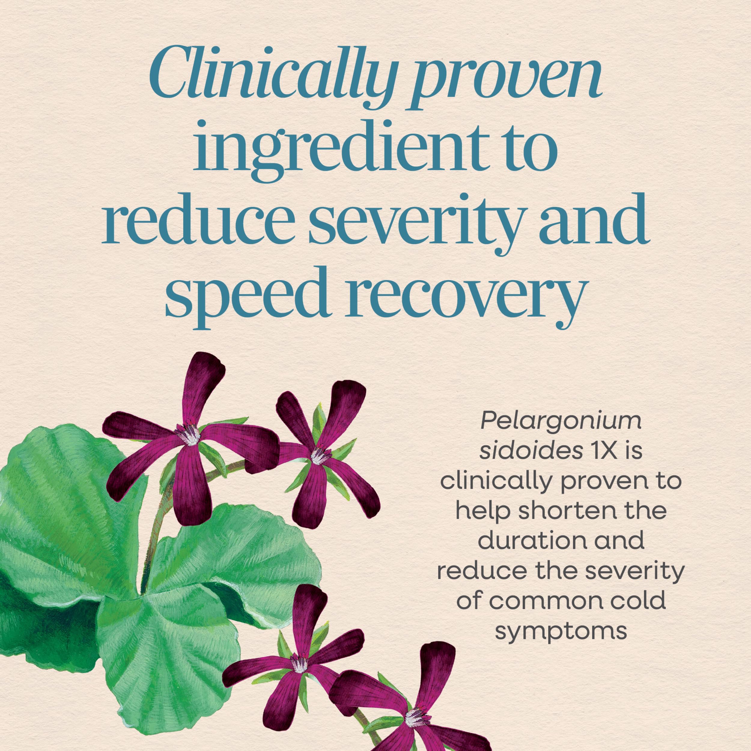 Pelargonium sidoides 1X homeopathic ingredient on label