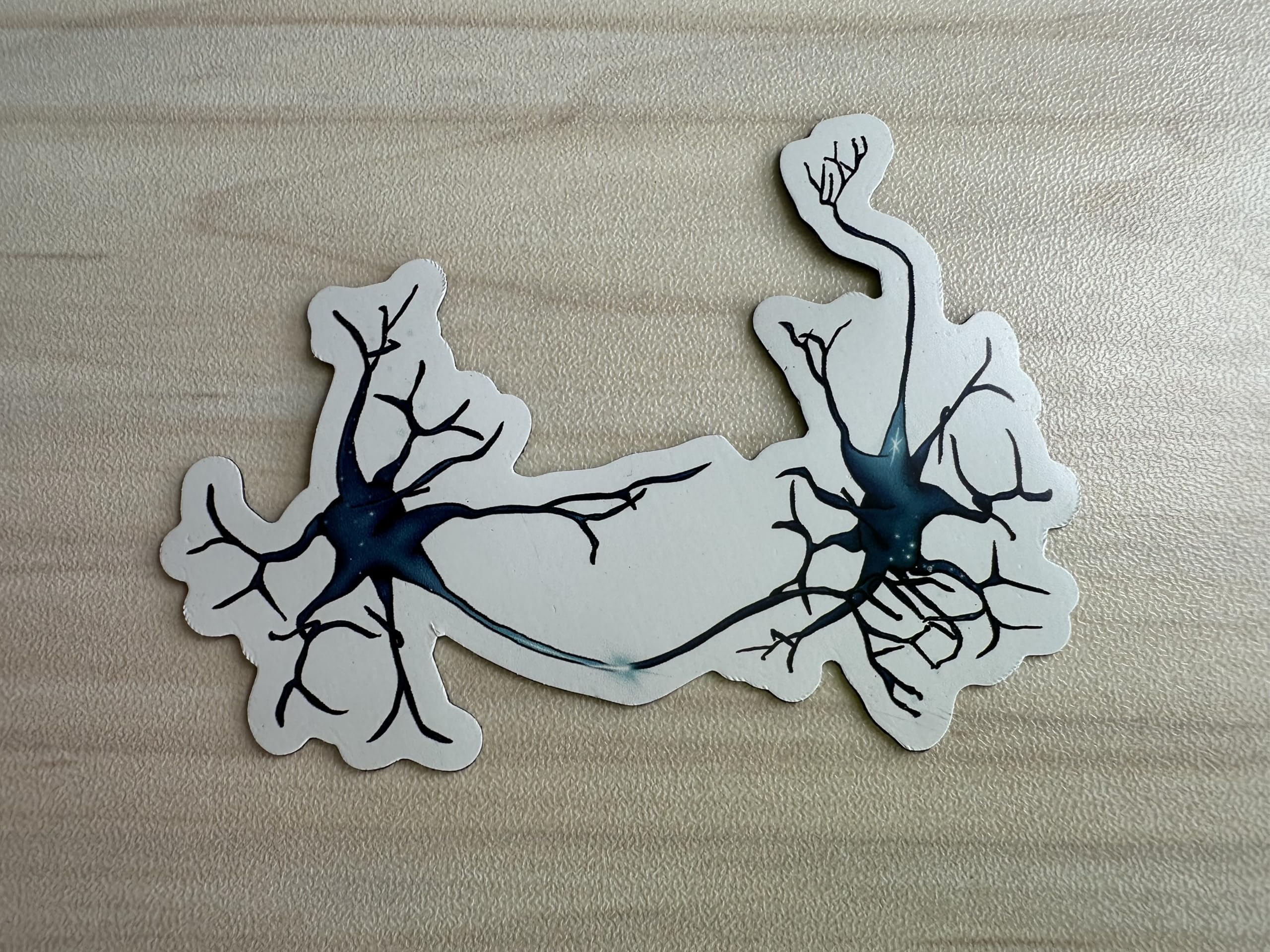 Neuron Synapse Magnet diagram showing neuron connections