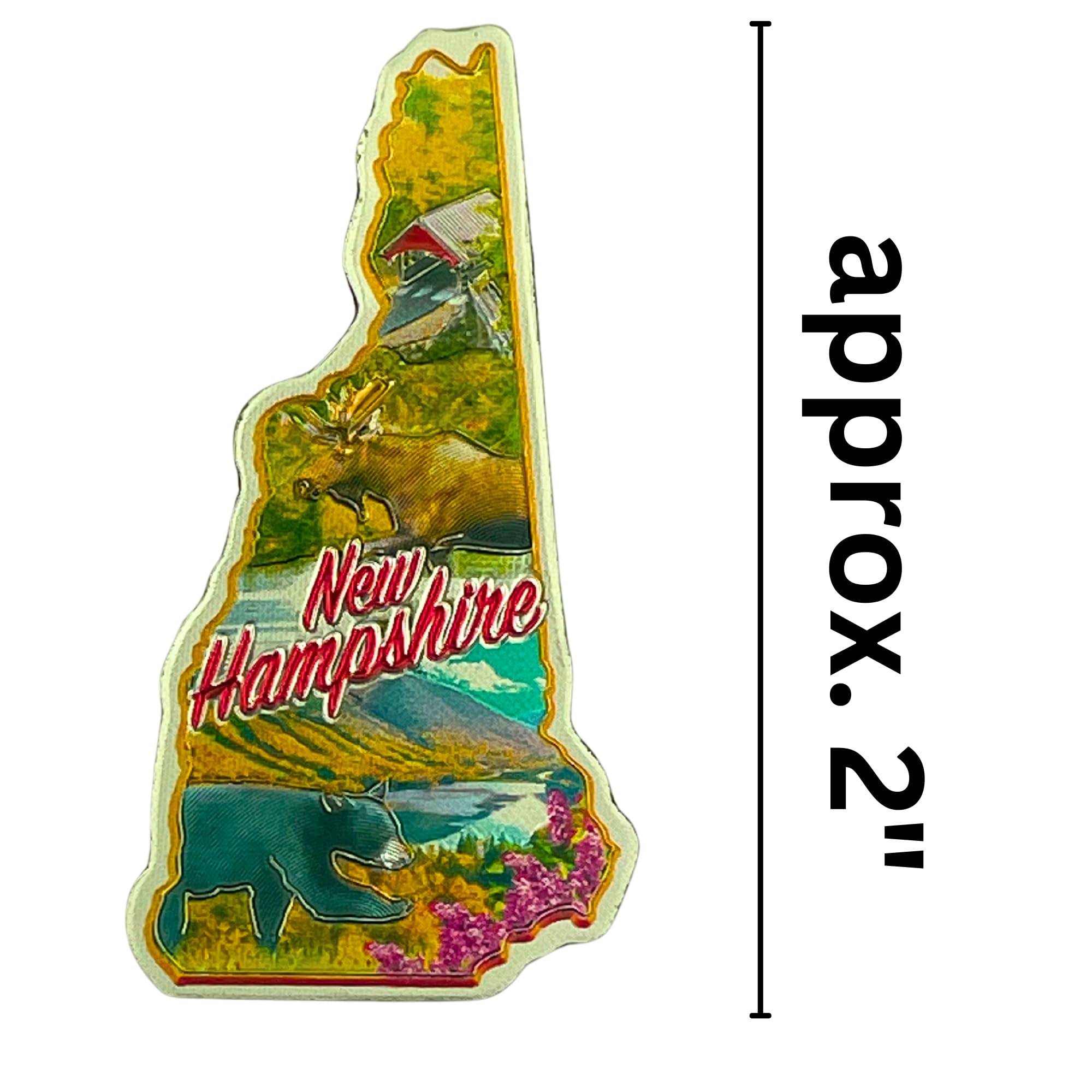 NH shaped magnetic decoration display accessory