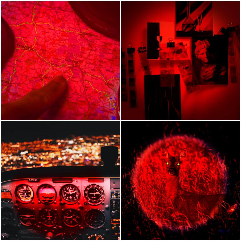 Red light flashlight for night observation and wildlife