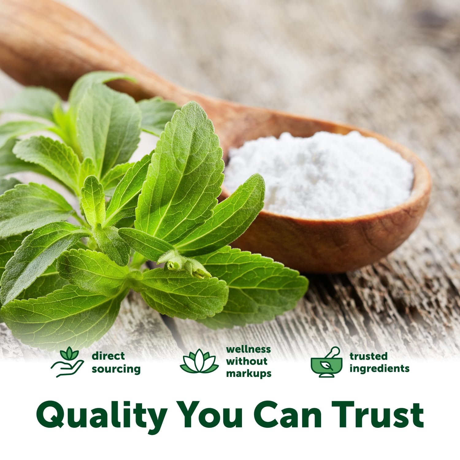 stevia powder sugar substitute for drinks and baking