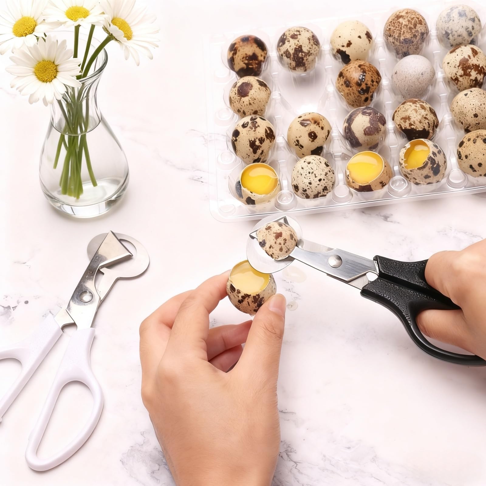 Multi-functional quail egg scissors for quail pigeon and bird eggs