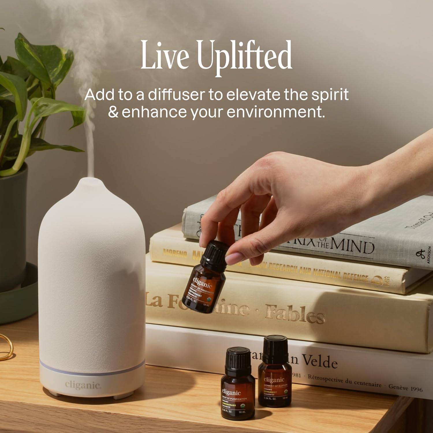 Glass bottle packaging for rosemary essential oil aromatherapy