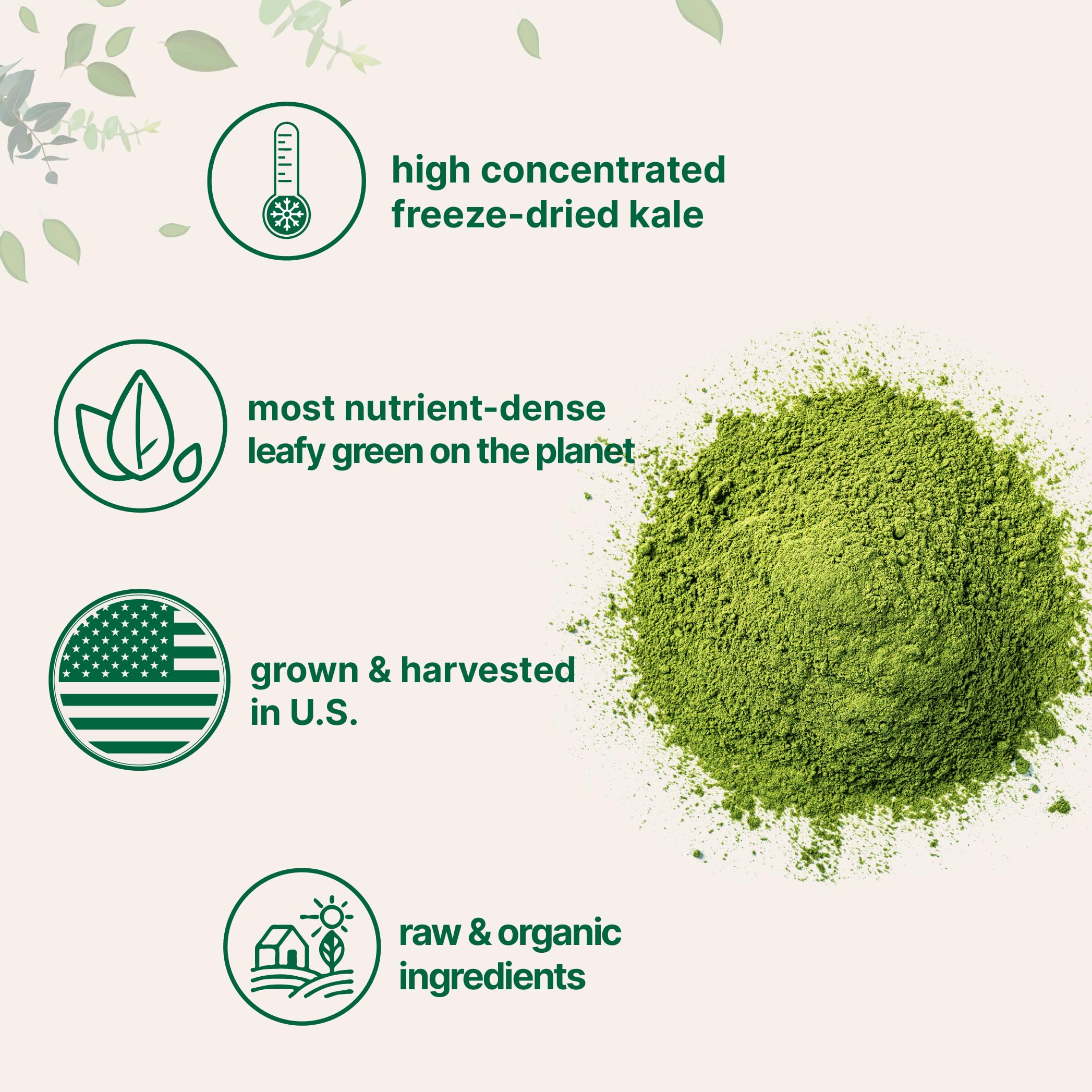 Kale powder used in smoothies juices salads versatile use