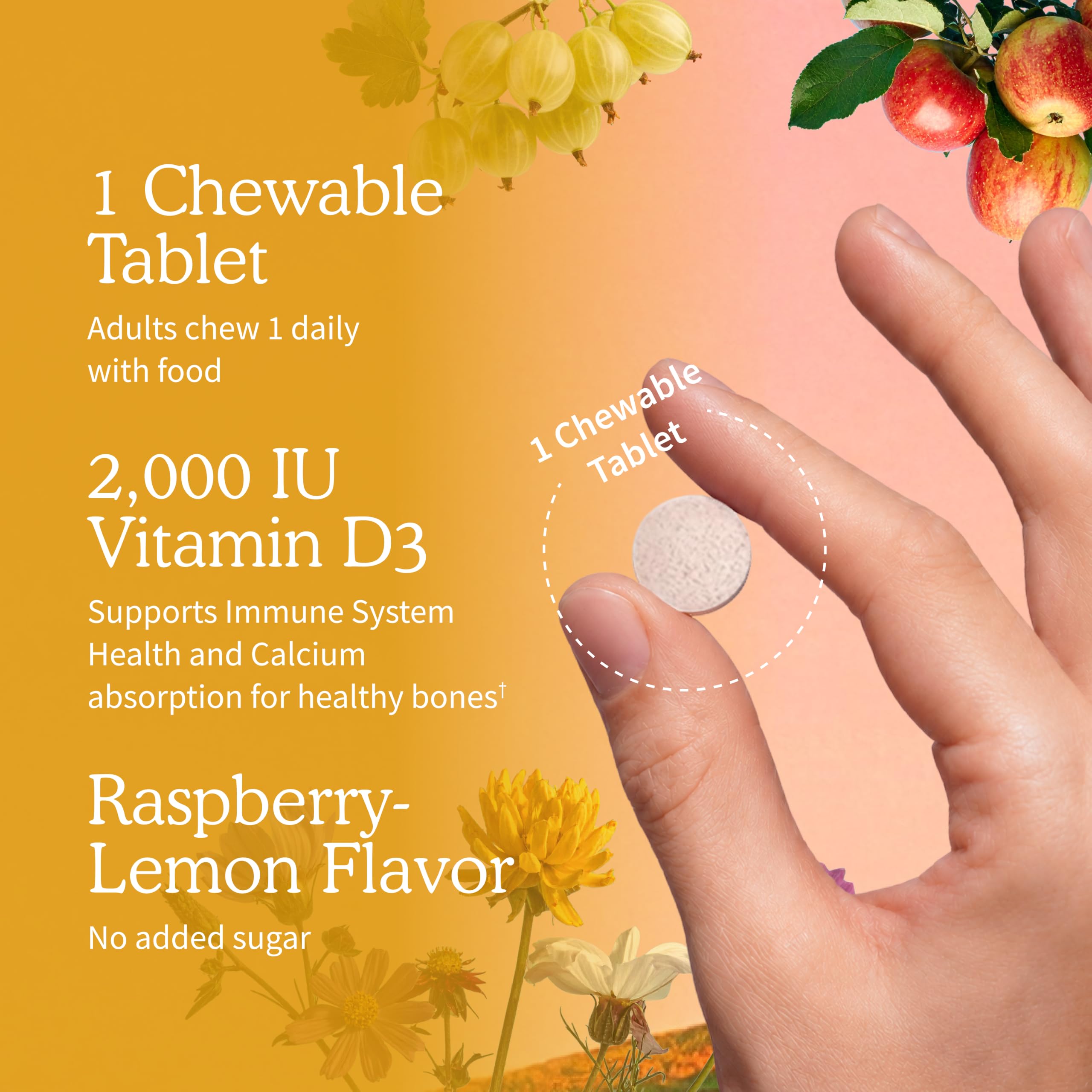 calcium absorption benefit on packaging