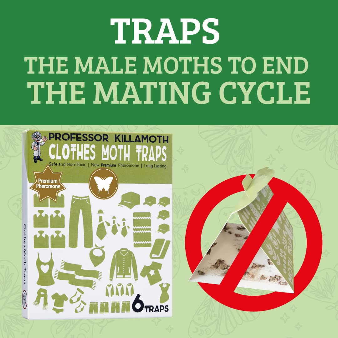 Non-toxic moth traps safe for family use in wardrobe