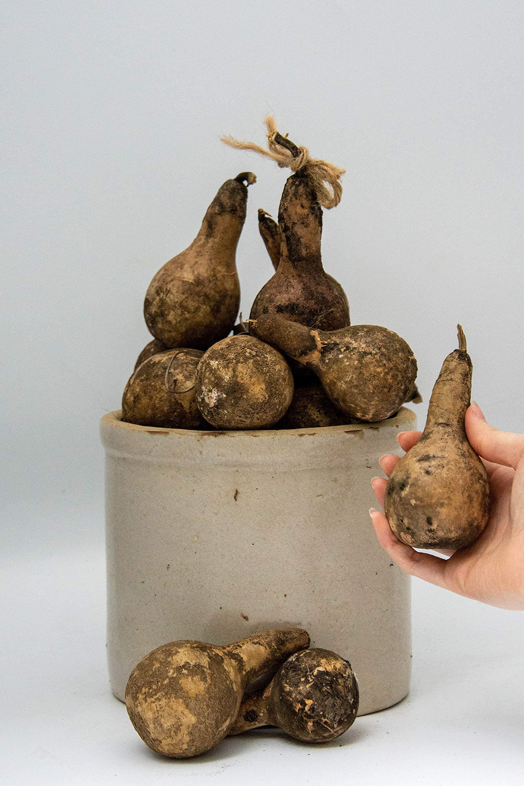 Antique-style primitive decor gourds