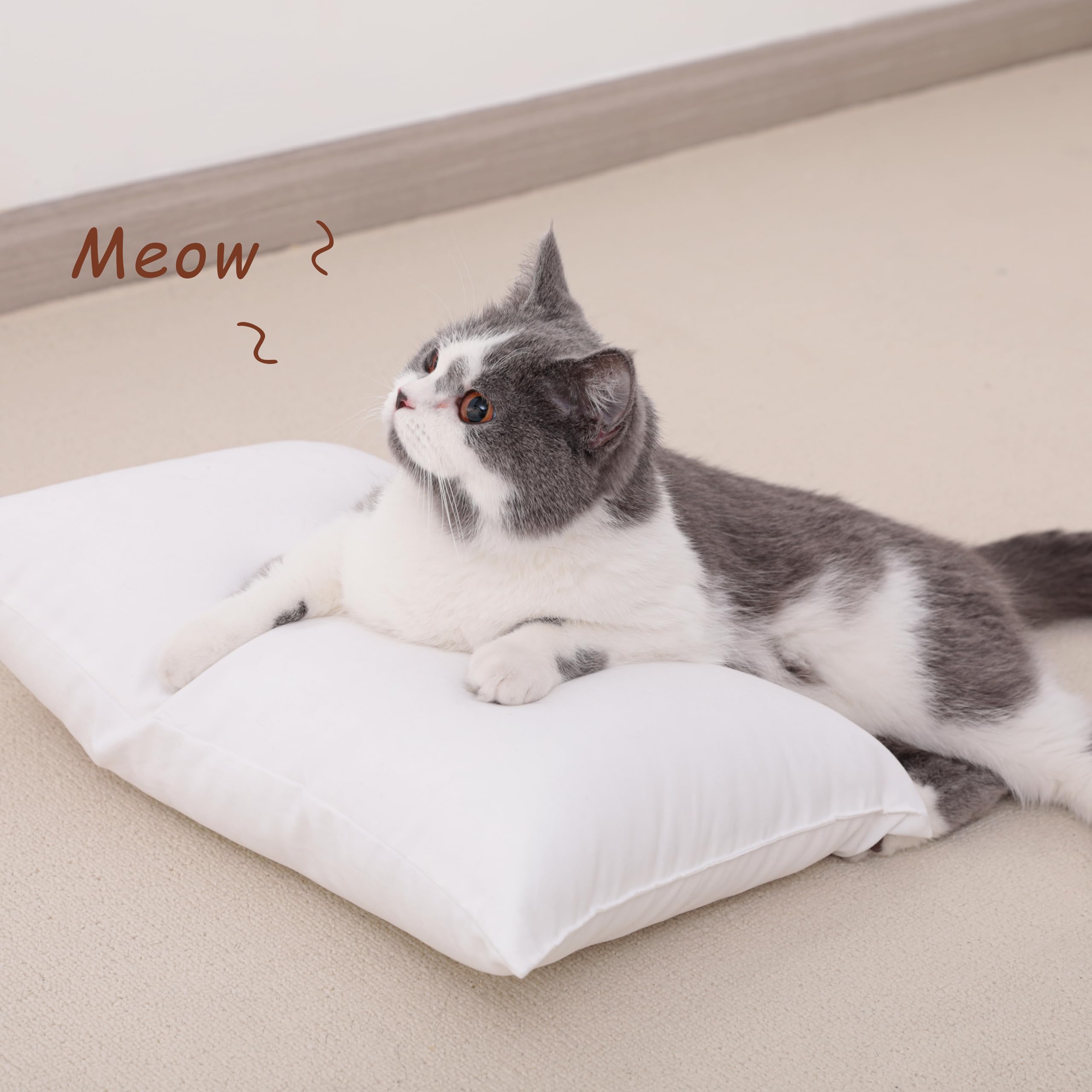 Lightweight compact pillows for backpacks and suitcases