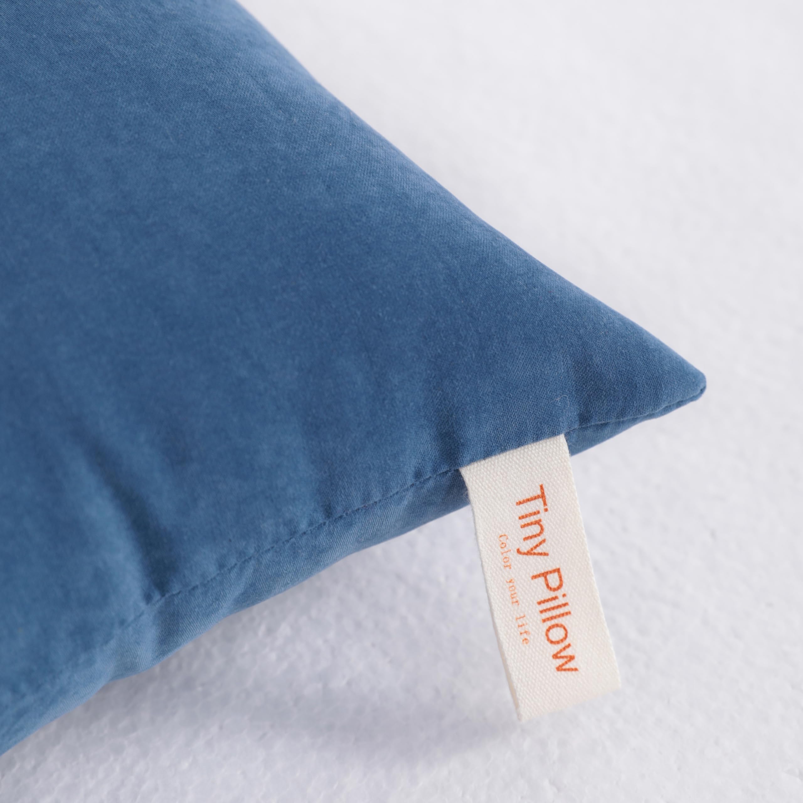 Denim blue NTBAY pillows for pets and decor