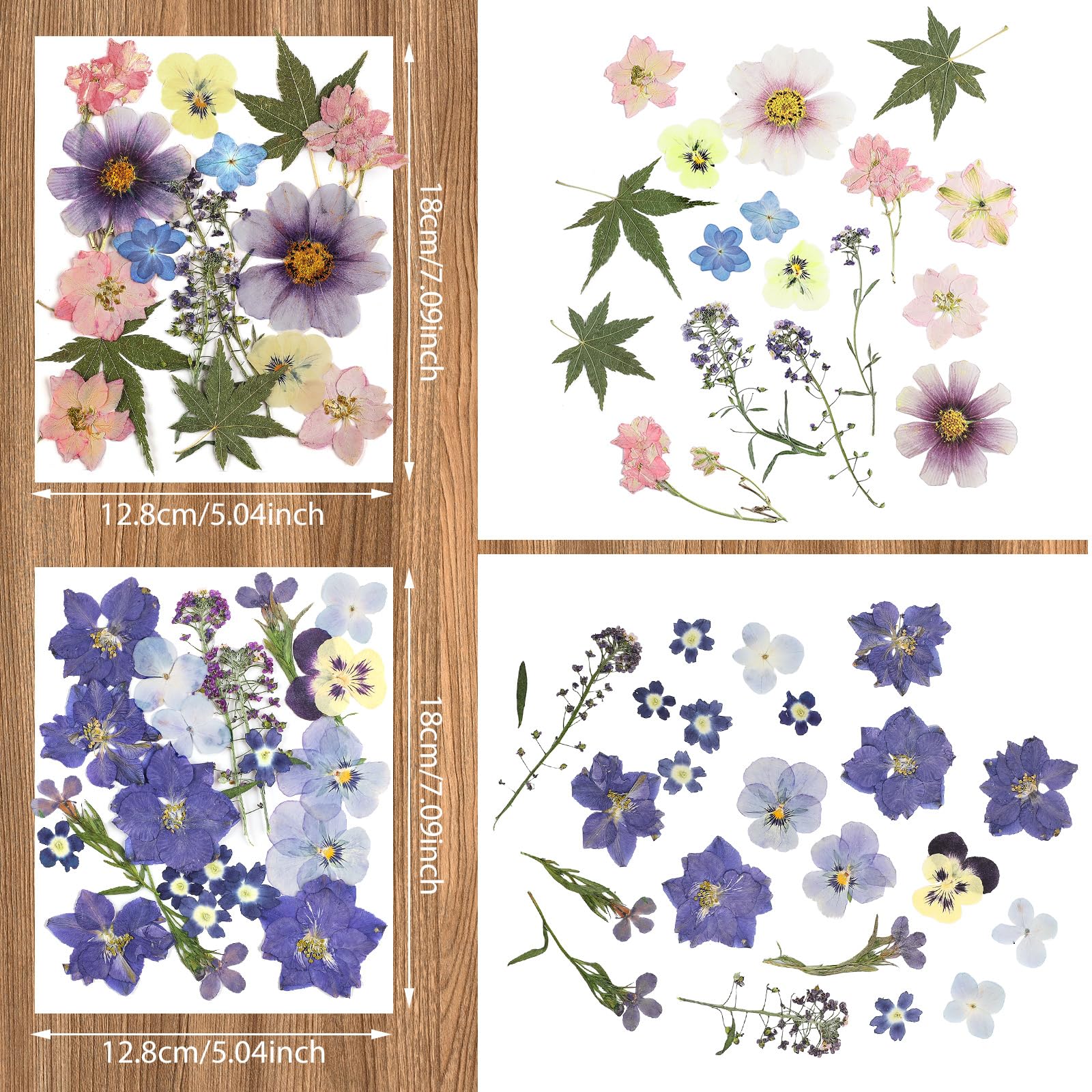 Vacuum packaged dried flowers with curved tweezer for crafting