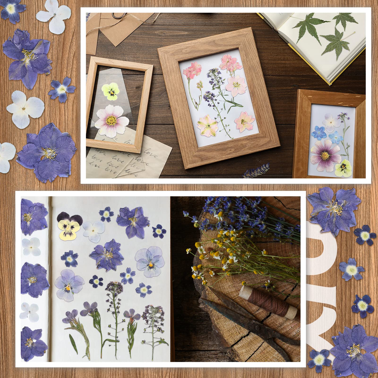 Dried flowers suitable for resin molds nail art scrapbooking and more