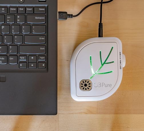 USB powered purifier for office and home