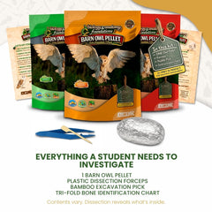 OBDK Solo Essentials Kit Large 1-Pack image