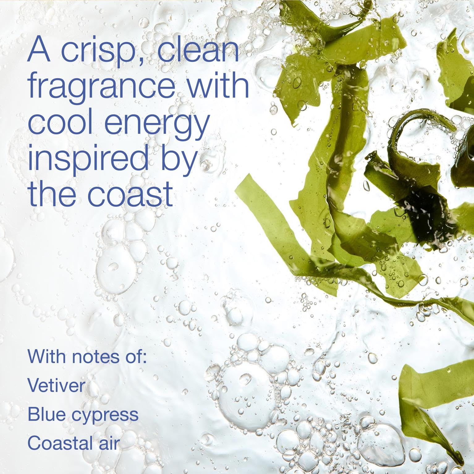 Ocean Scent Bath & Body Works packaging for men