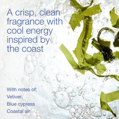 Ocean Scent Bath & Body Works packaging for men