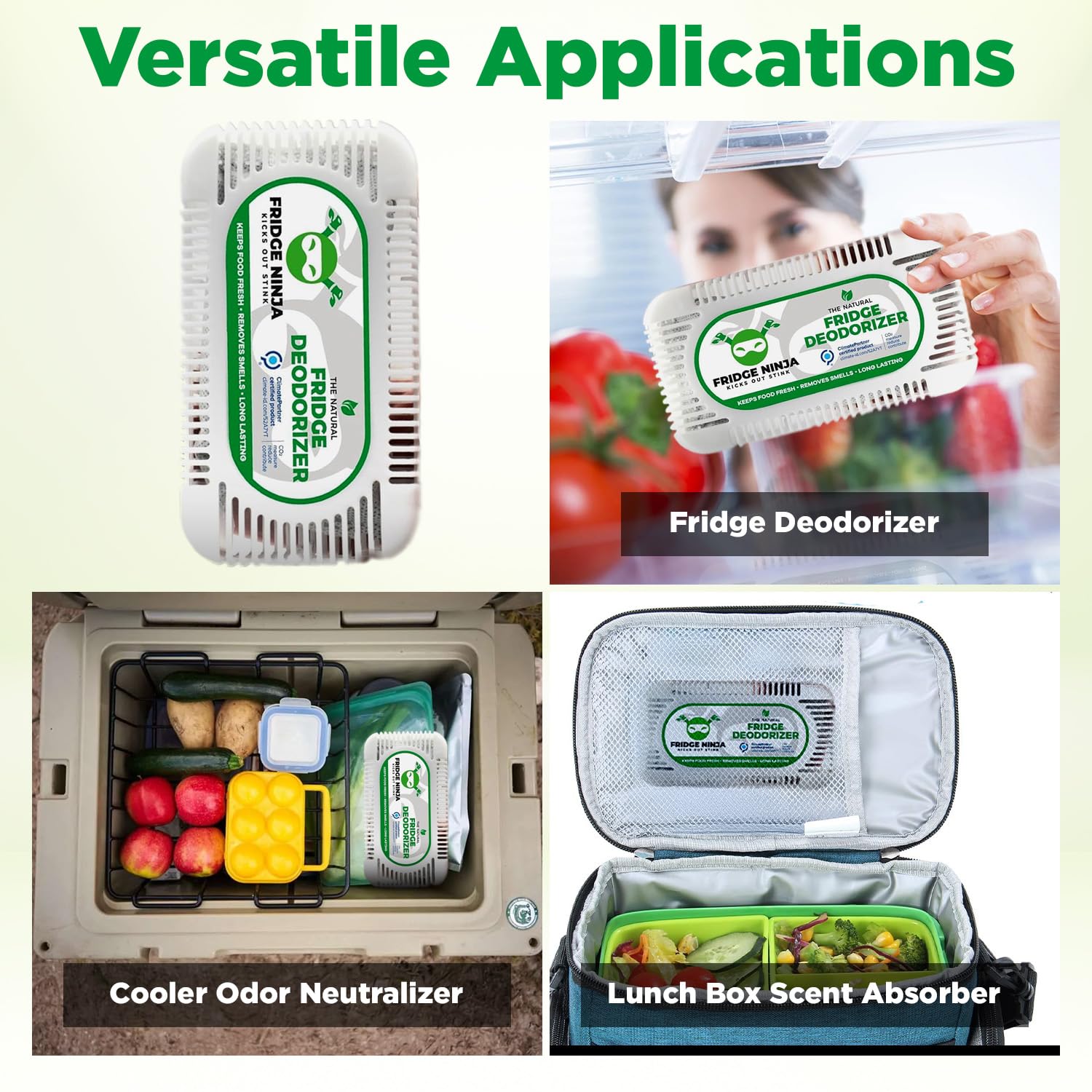 Fridge Ninja deodorizer used in lunch box