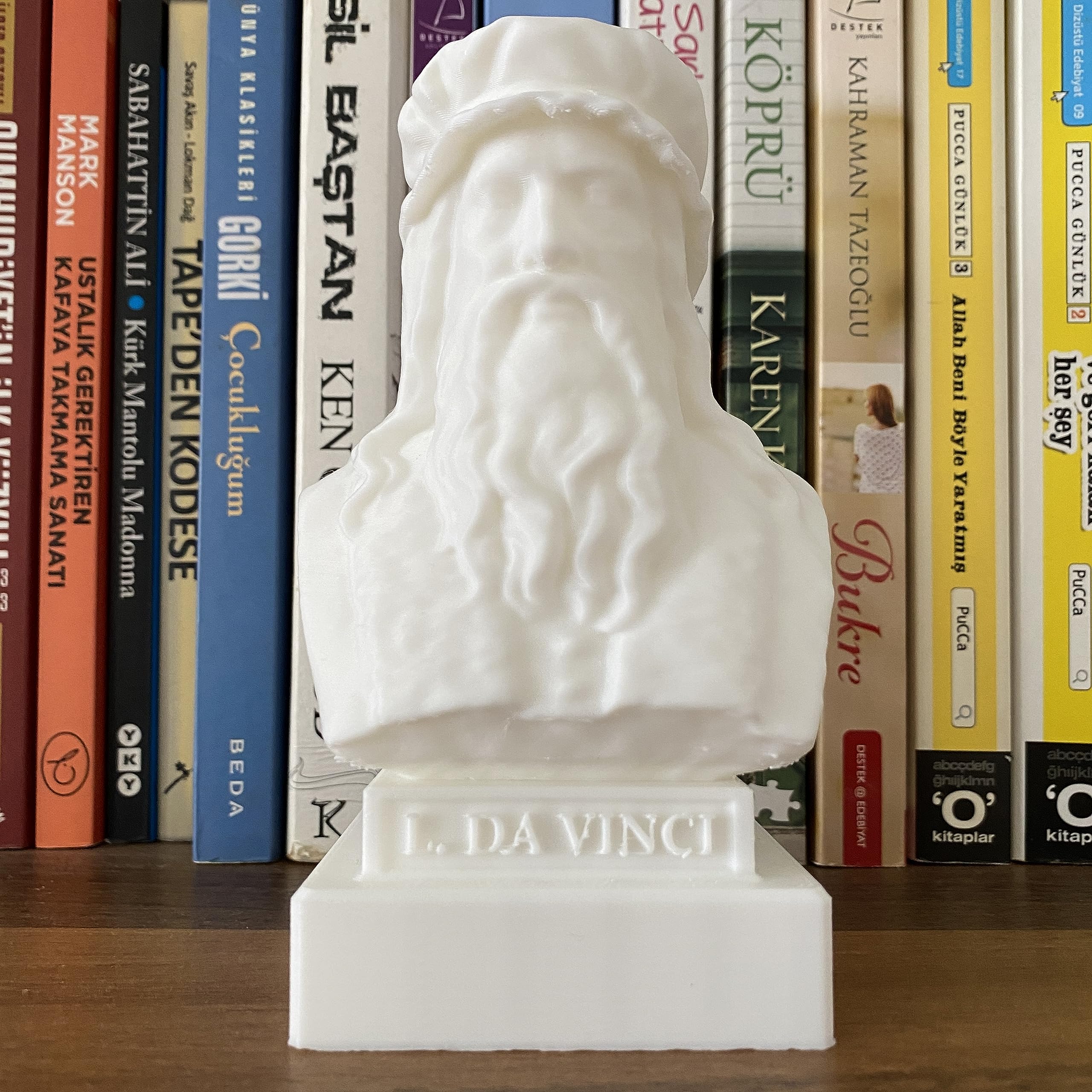Leonardo da Vinci Bust display for fans gift idea