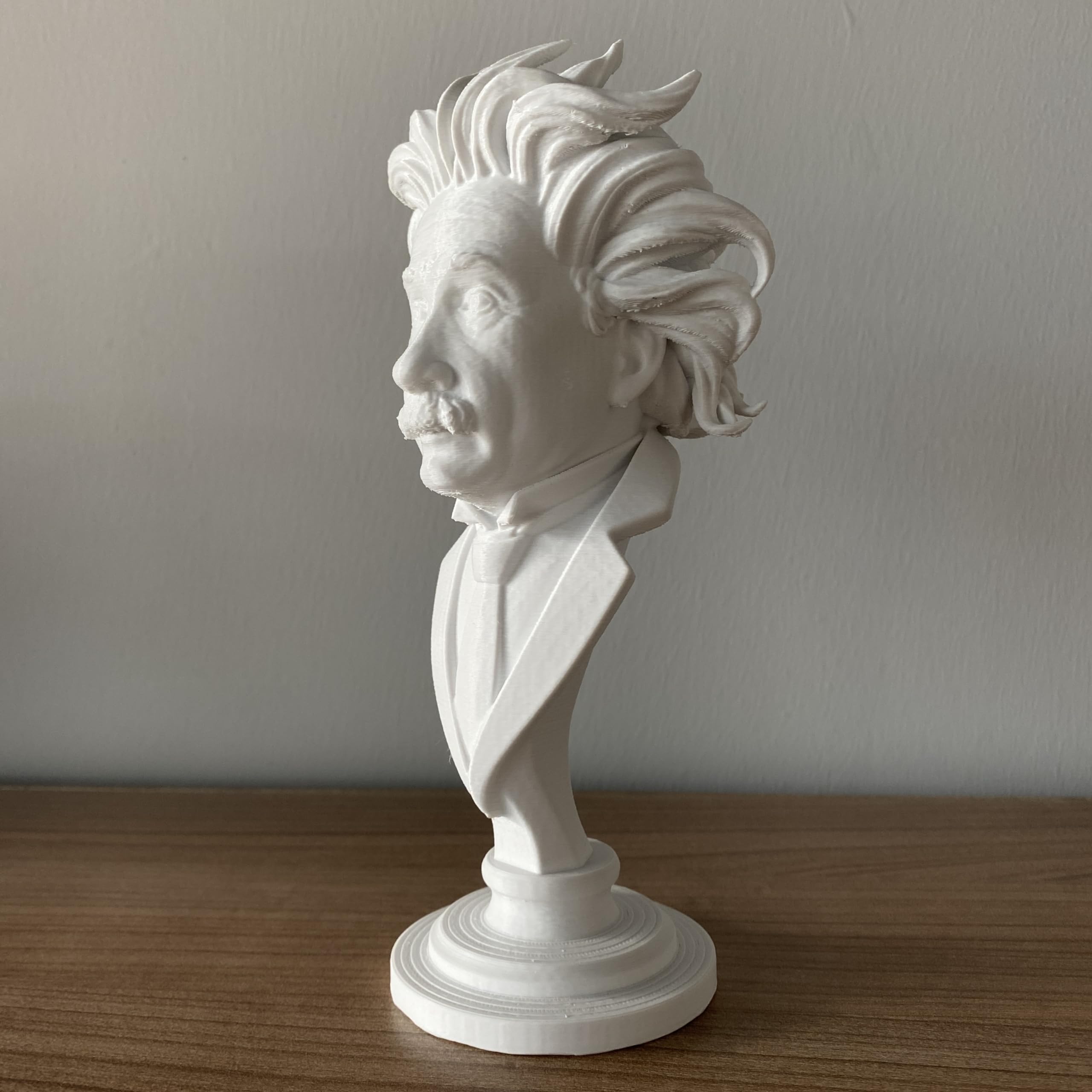 Desk or shelf display Albert Einstein bust