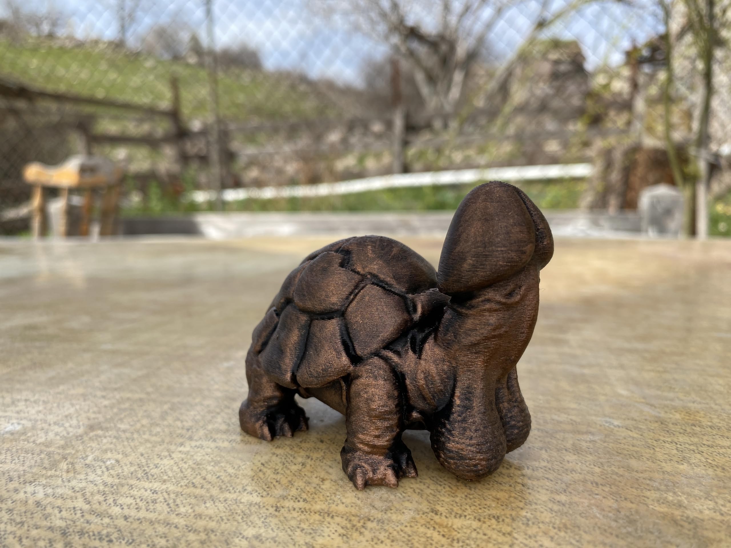 Conversation starter penis turtle decoration