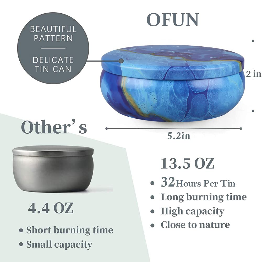 OFUN lemongrass candle set 3 wick