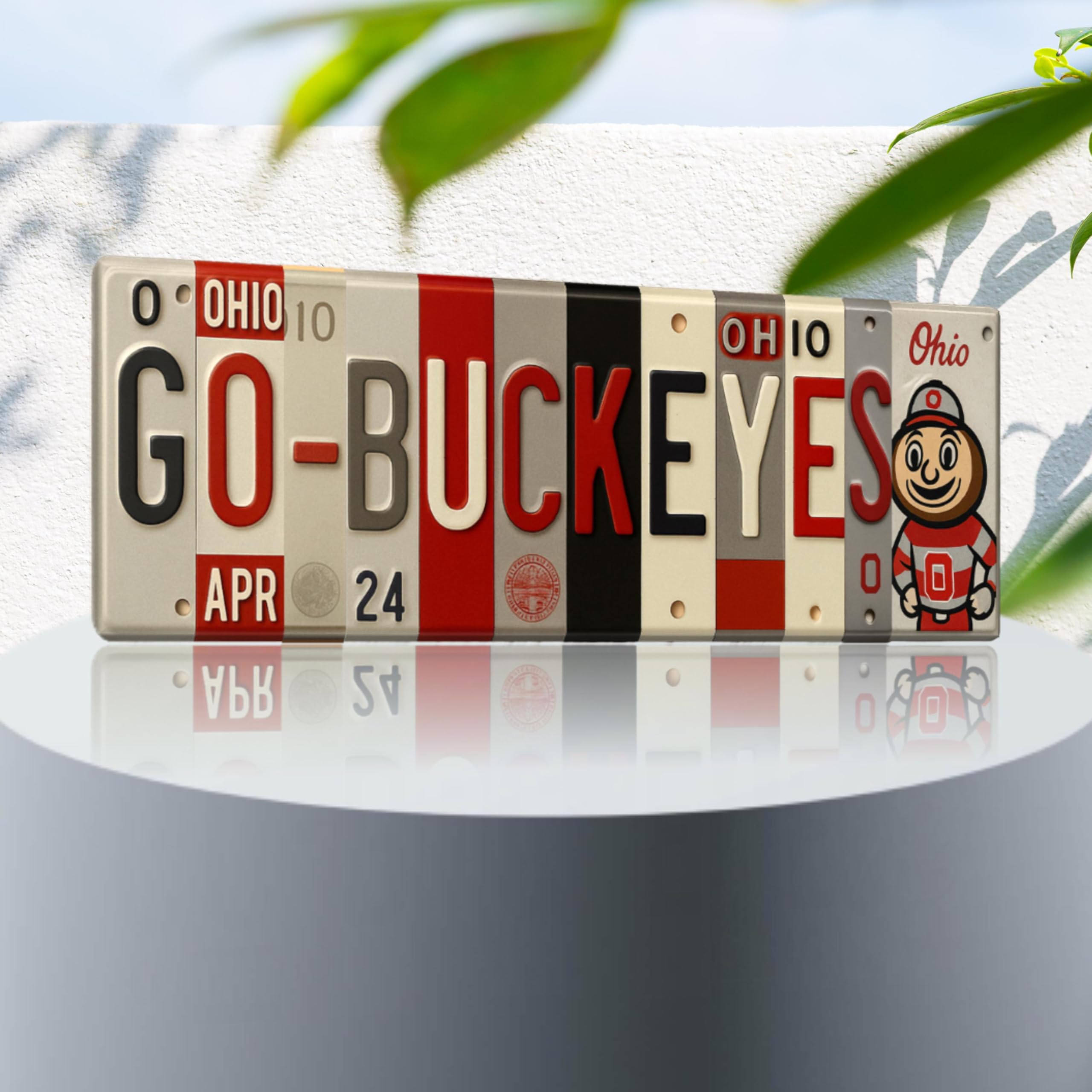 Buckeyes license plate style wall decor with scarlet red and gray collage
