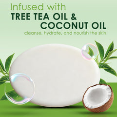 Oiangna Antifungal Soap Tea tree Oil Soap 2-bar pack on shelf