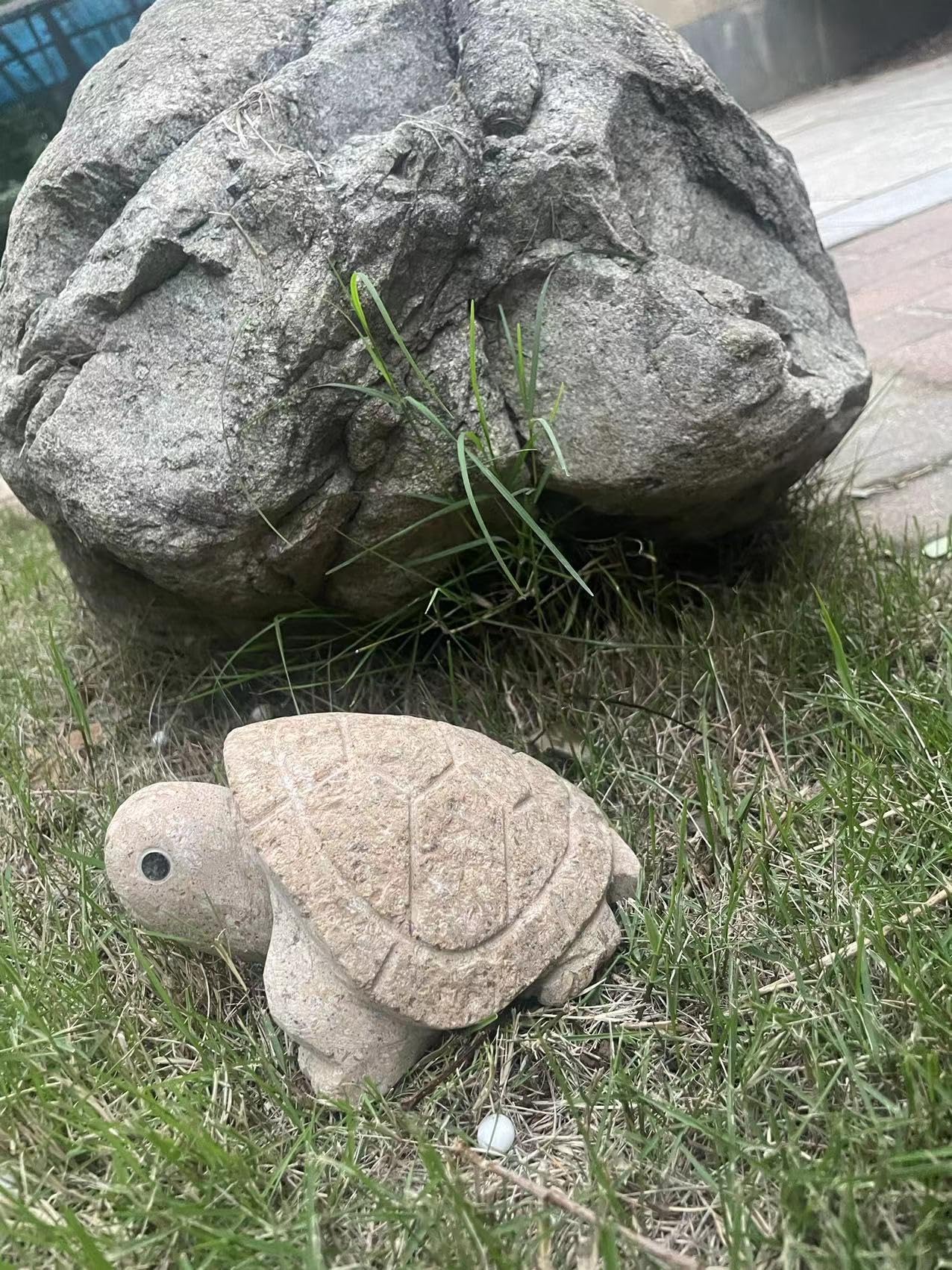 Durable granite turtle statue handcrafted by artisan
