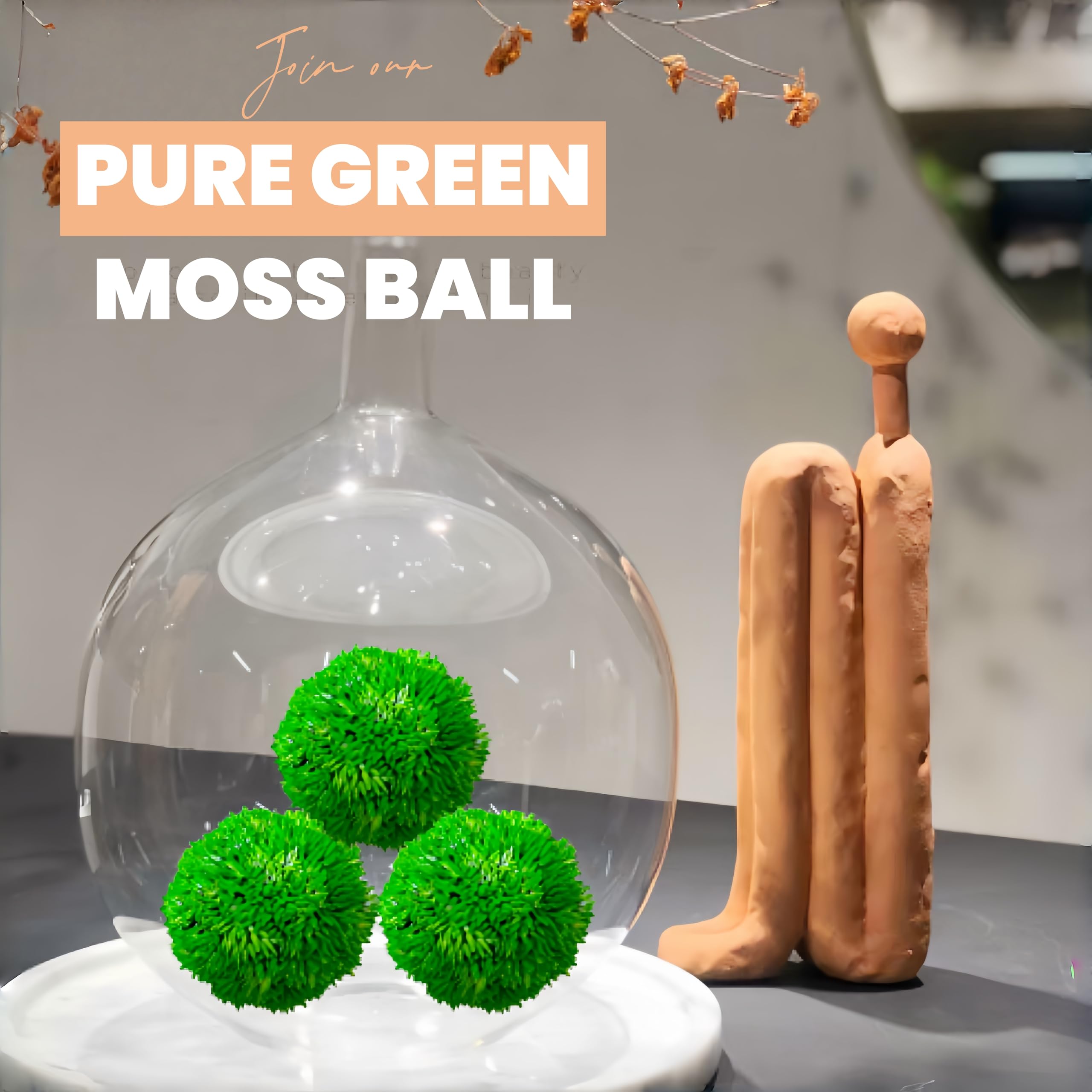 open terrarium moss ball display with greens