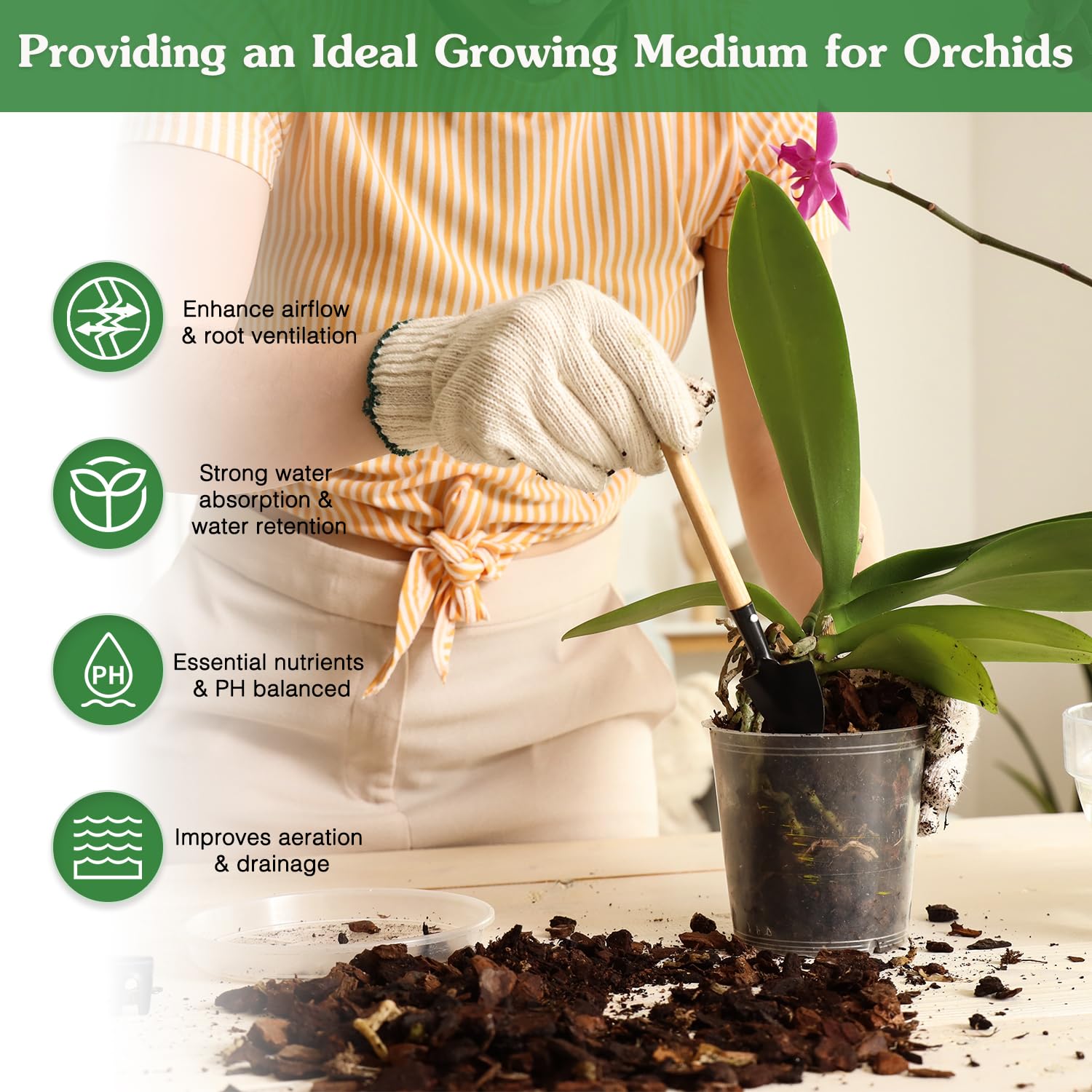 Fluffy texture of orchid potting mix promotes air circulation