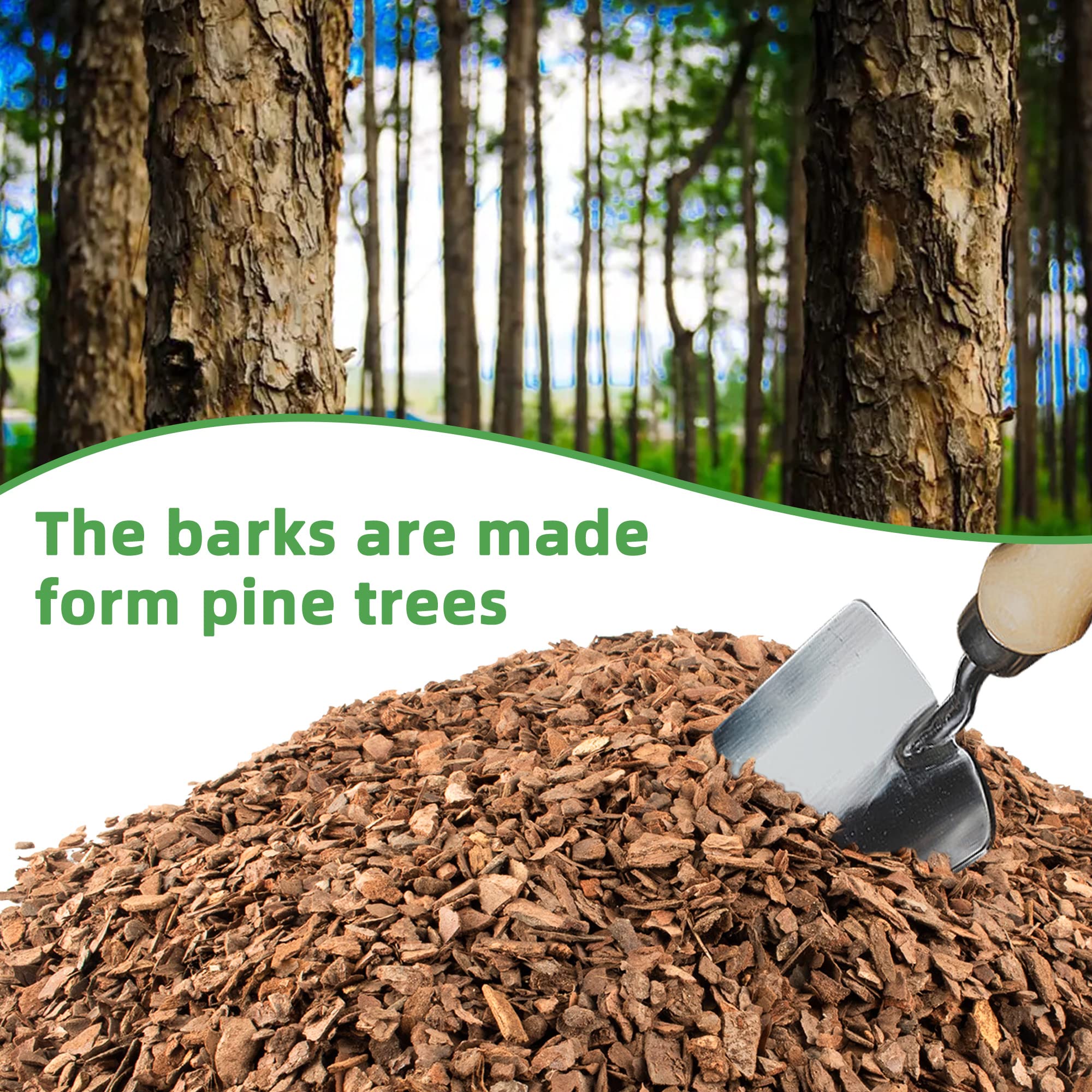 Orchid root development aided by pine bark mulch