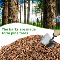 Orchid root development aided by pine bark mulch
