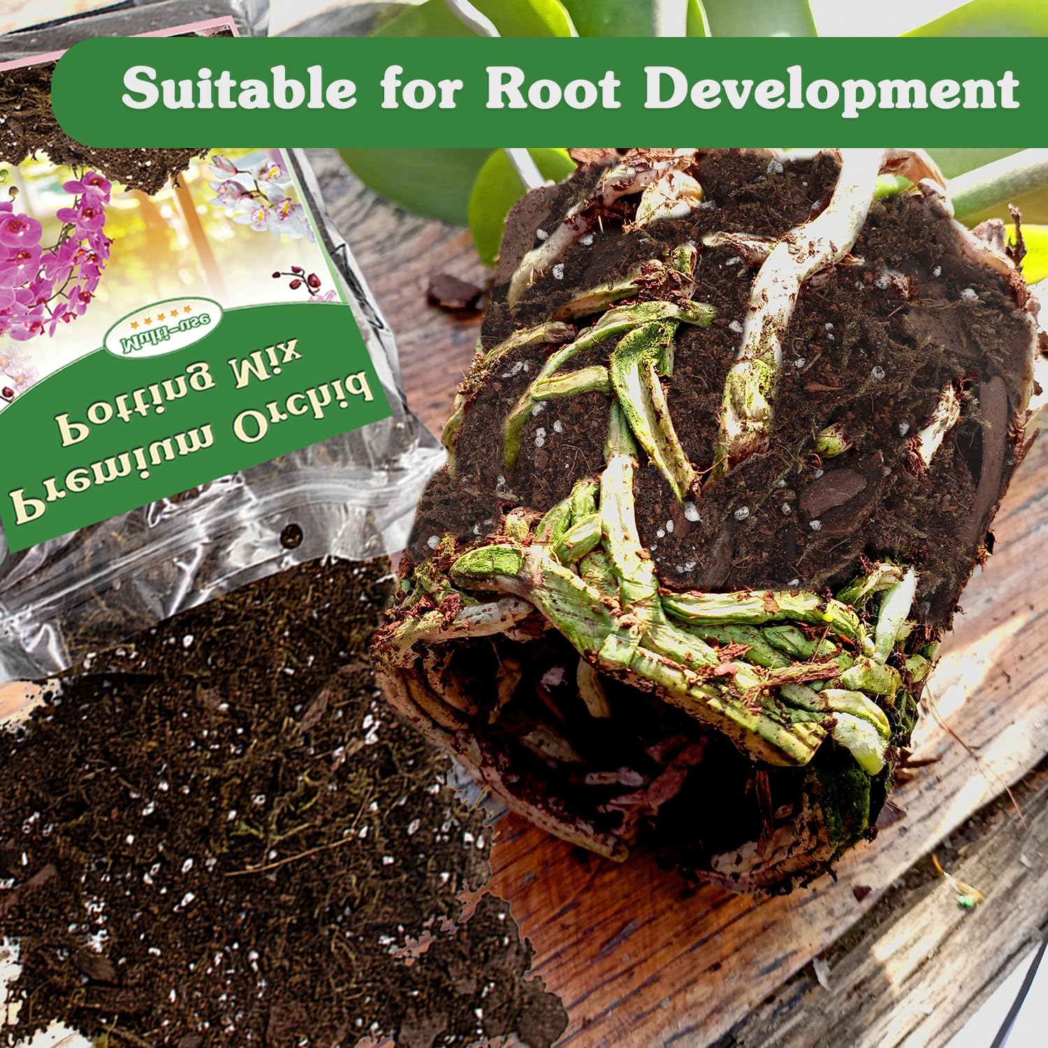 Sizes available 1 2 and 4 Quart for orchid repotting