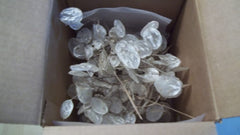 Oregon-grown Lunaria stems for wedding decor