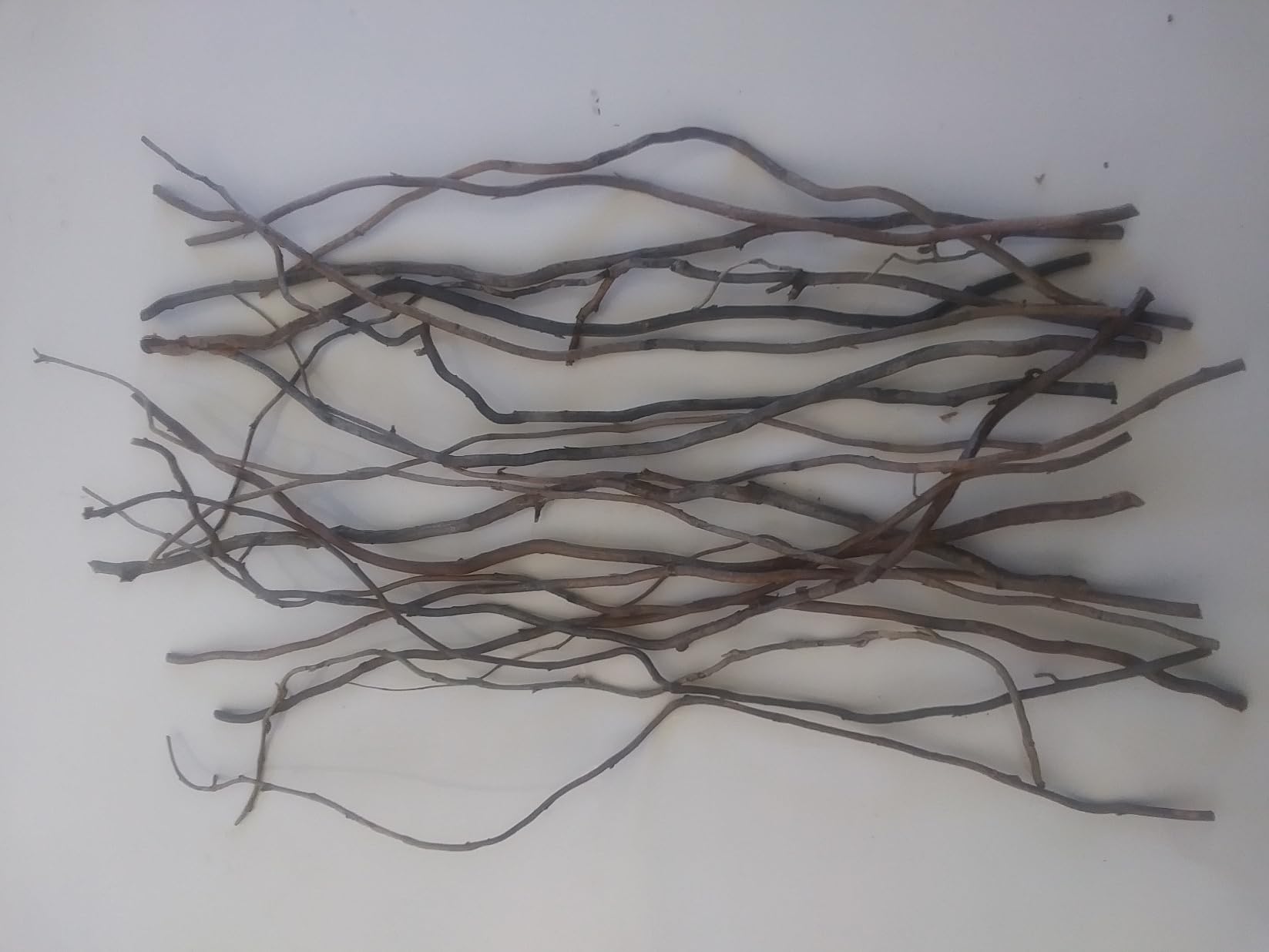 Willow branch ends 15 pieces for holiday decor