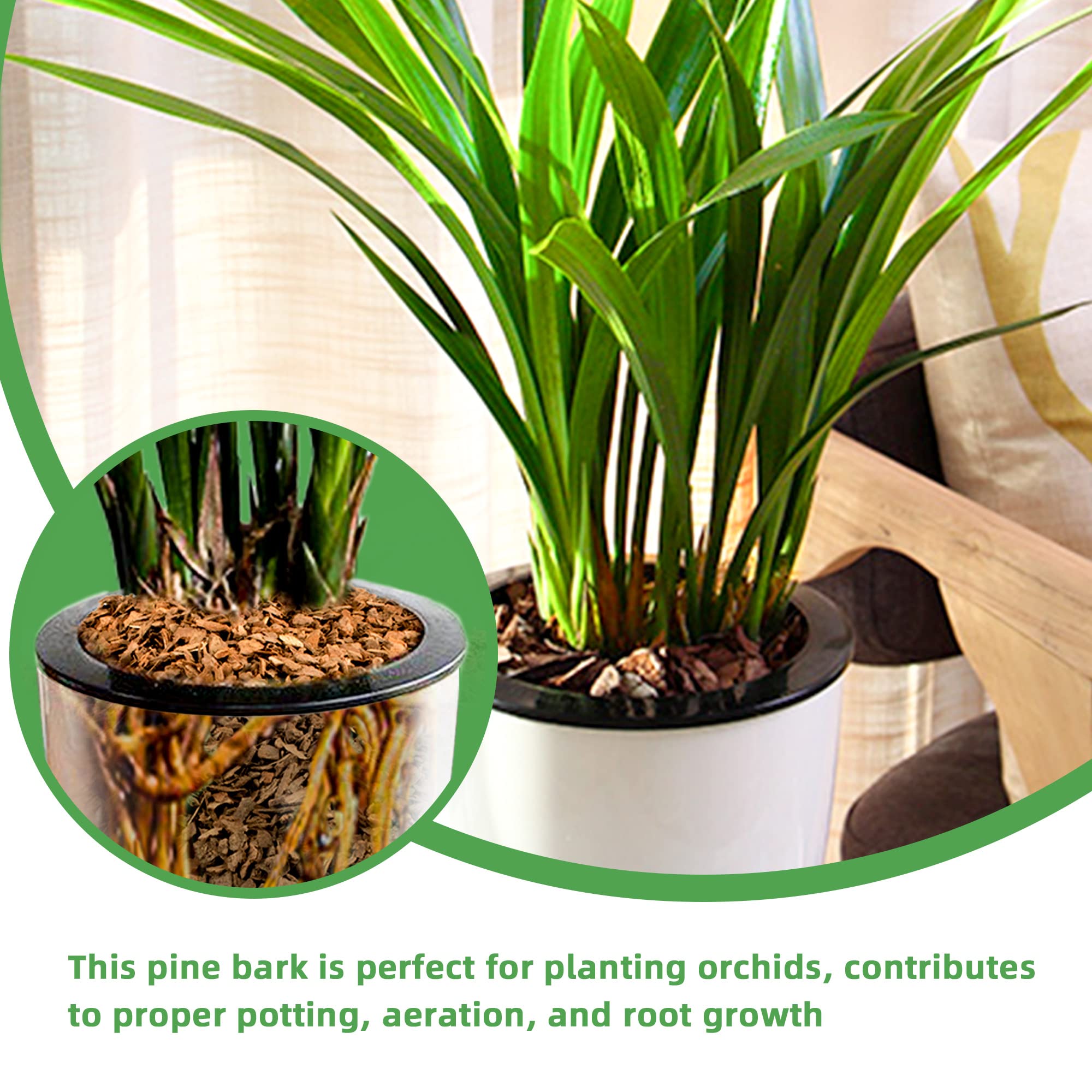 Organic bark mulch for potted plants and orchid care