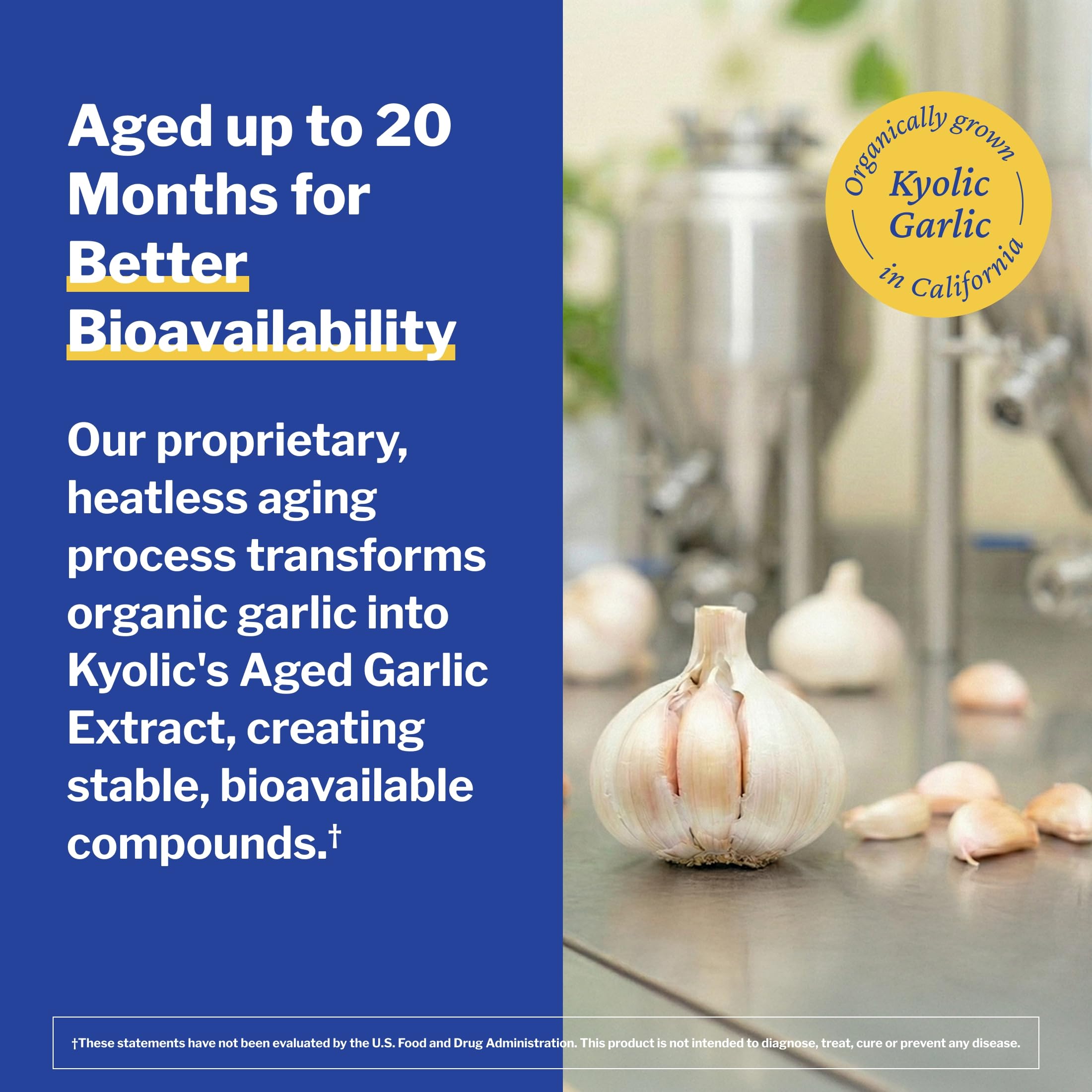 Formula 100 Kyolic garlic extract capsules close up