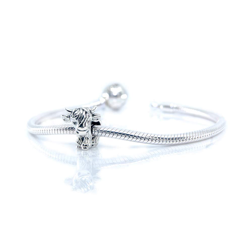 Original Aurora Charm Bead gift pouch included