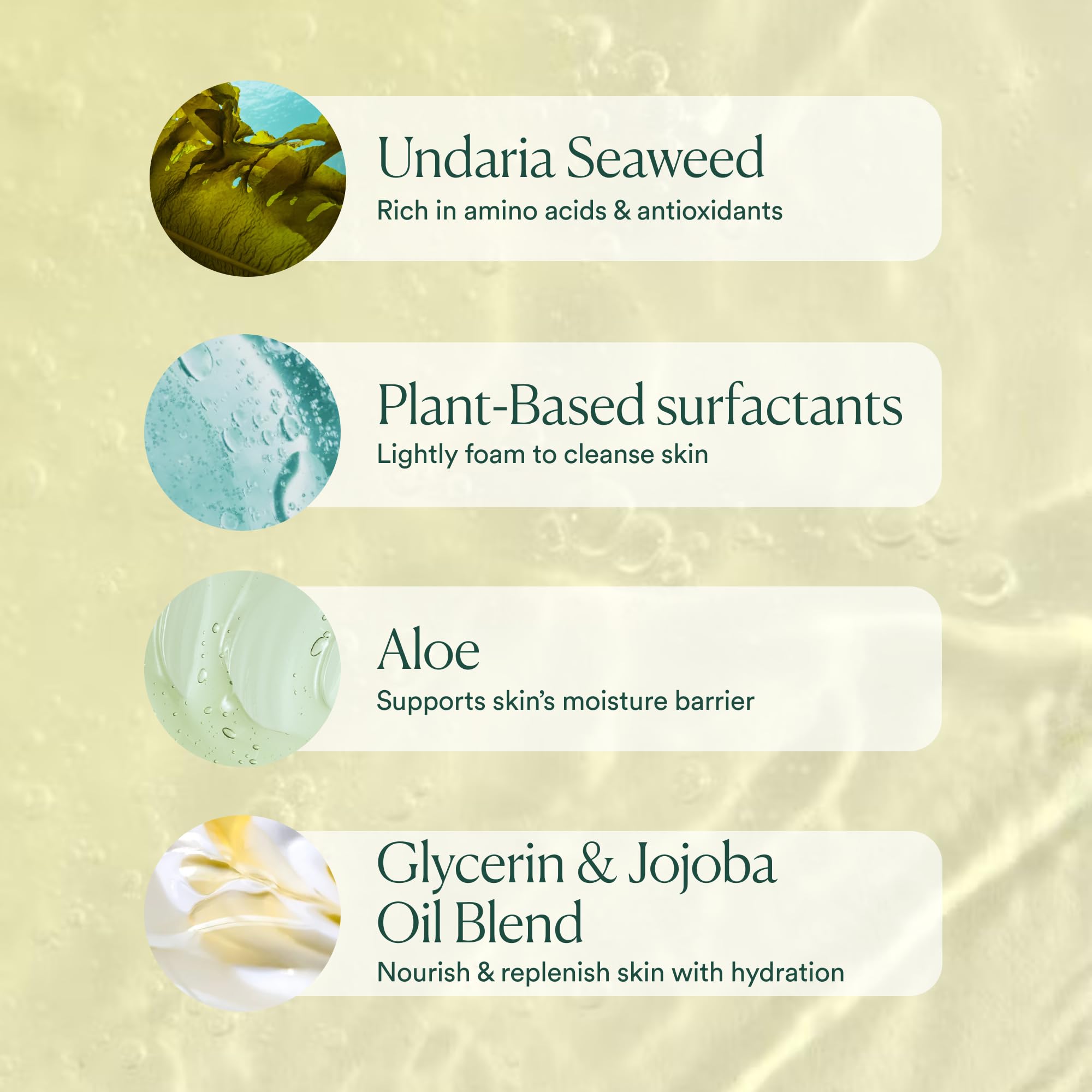 Undaria Algae minerals and nutrients in body wash
