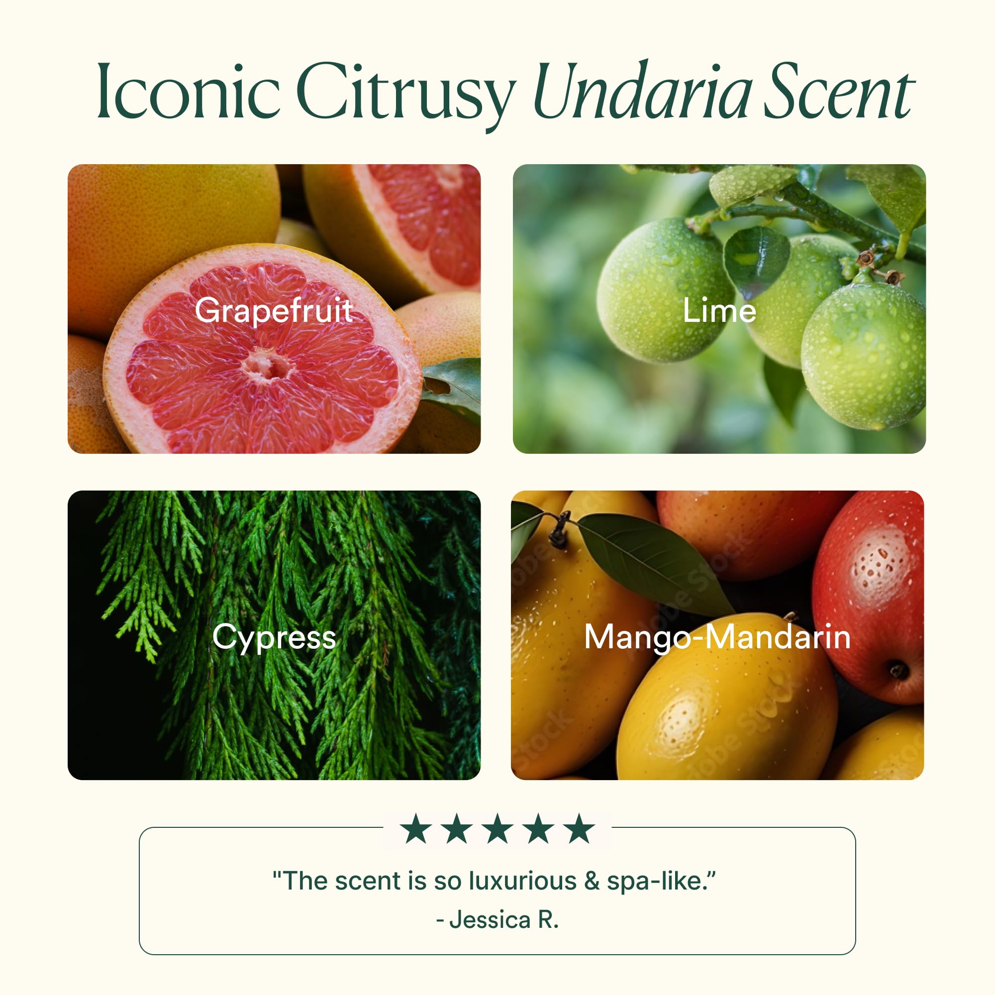 Plant-based sustainable formula with Undaria Algae