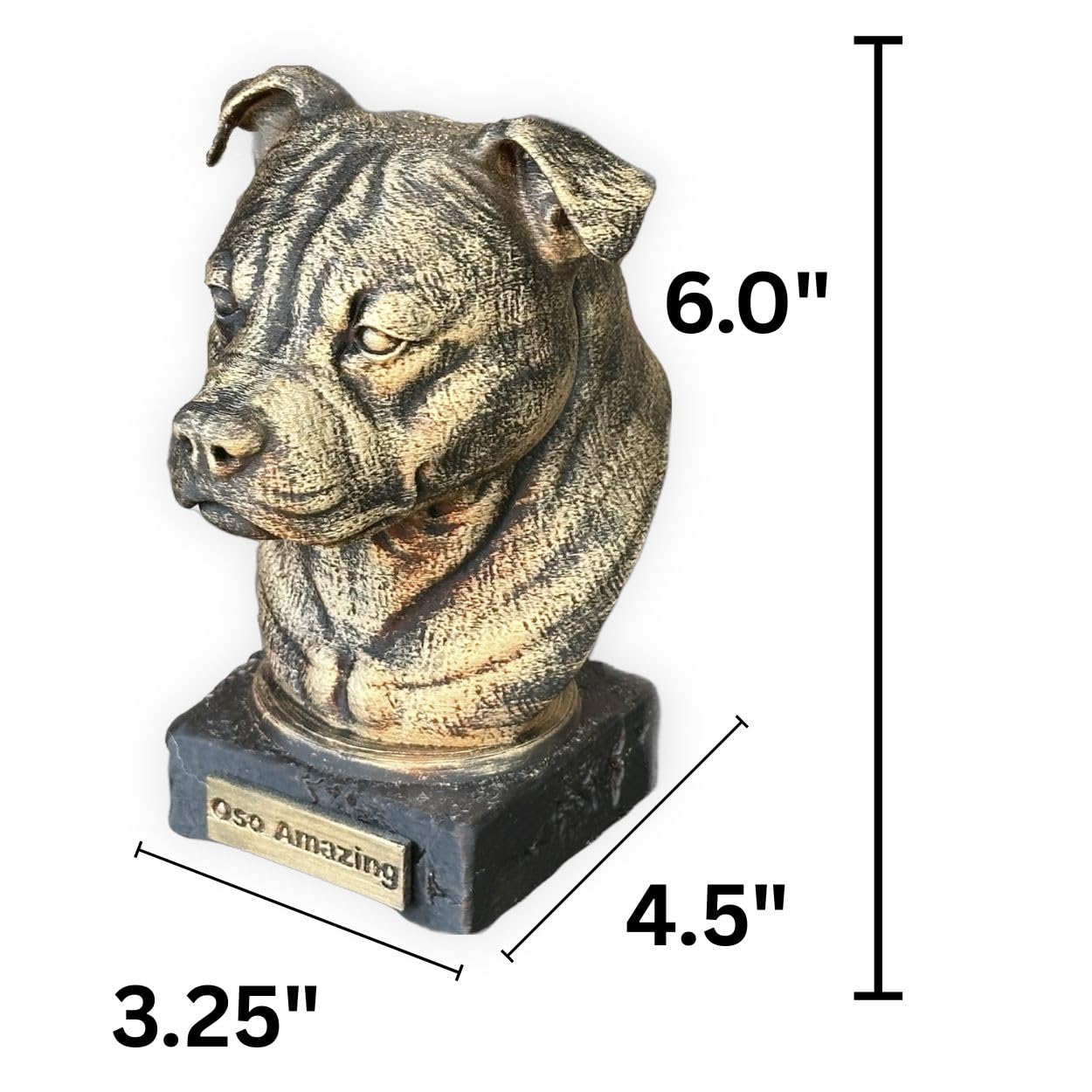 3D printed Staffordshire Bull Terrier bust by Oso Amazing