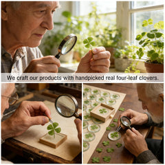 Real four leaf clover lucky charm close up