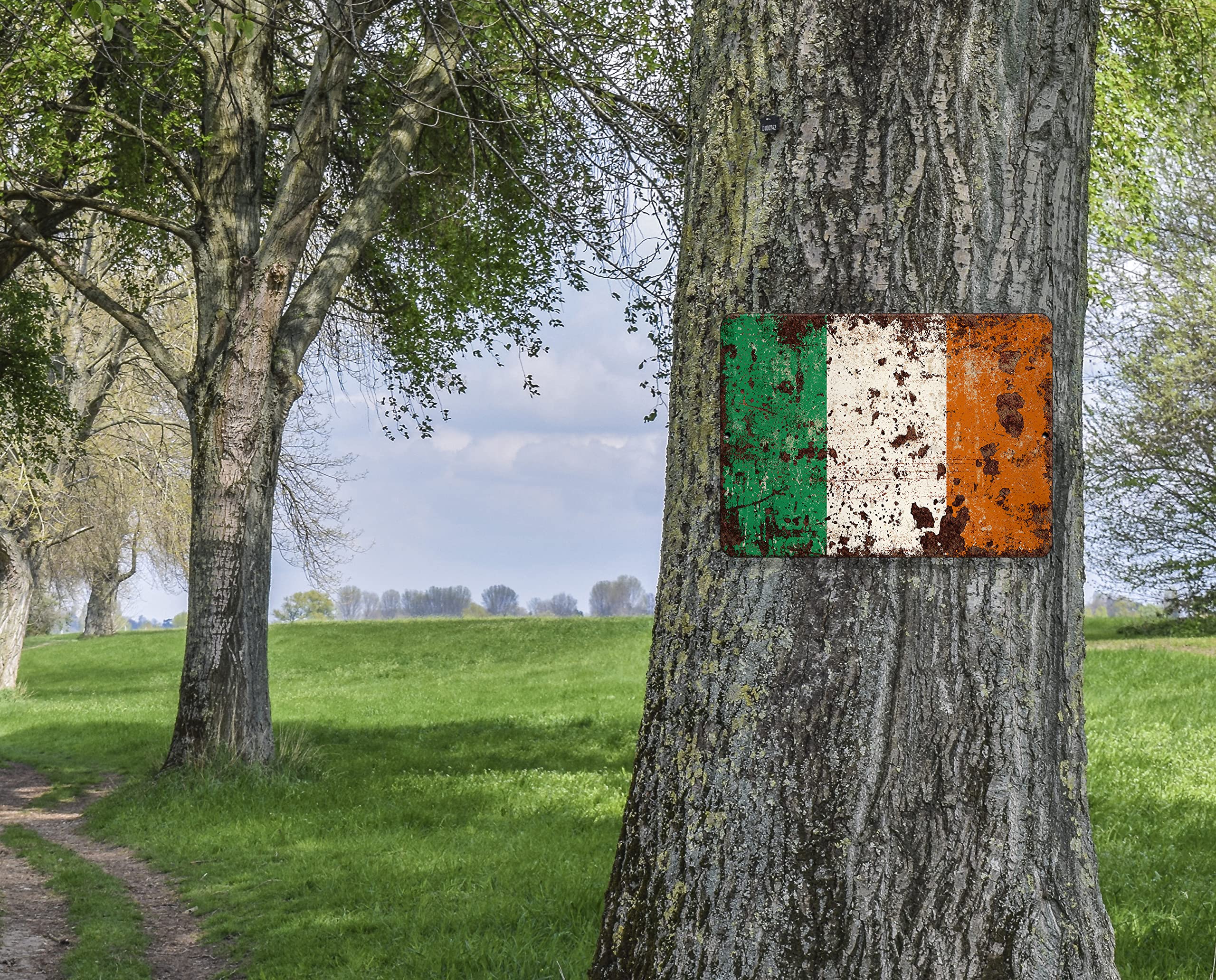 Outdoor indoor irish flag metal sign decorative porch