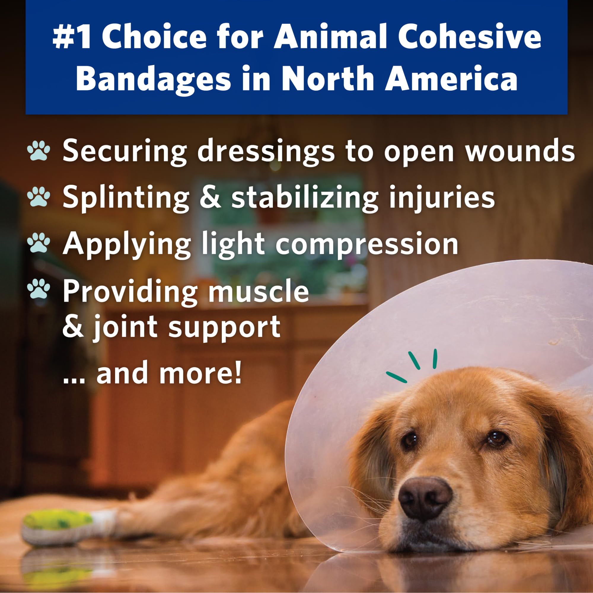 2 inch cohesive bandage for dogs and cats from OVIK Health