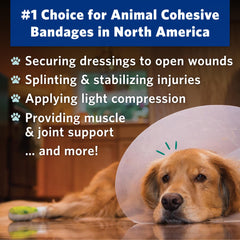 2 inch cohesive bandage for dogs and cats from OVIK Health