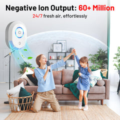 Compact two in one ozone ionizer design for home use