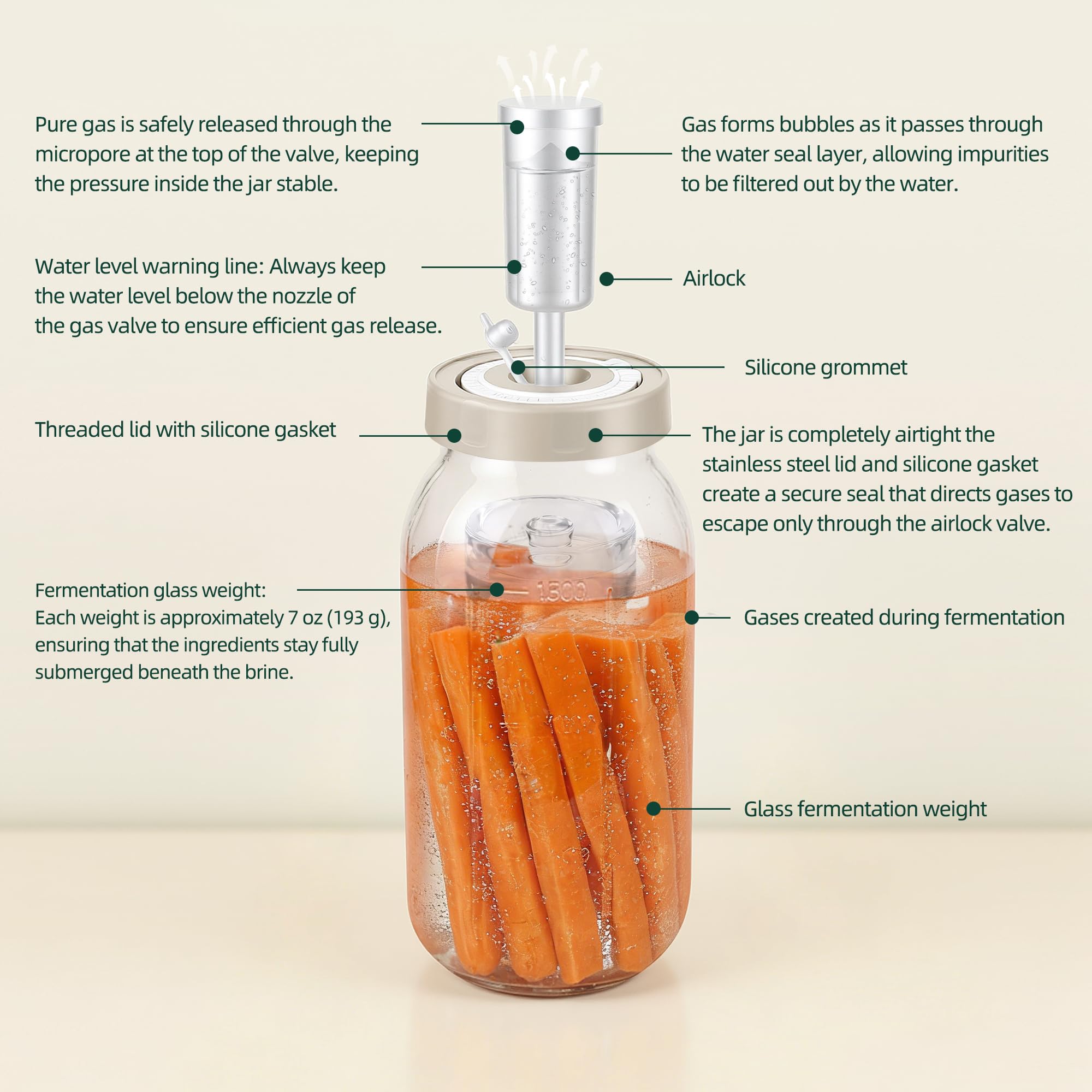 Pack of two fermentation jars with scale marks