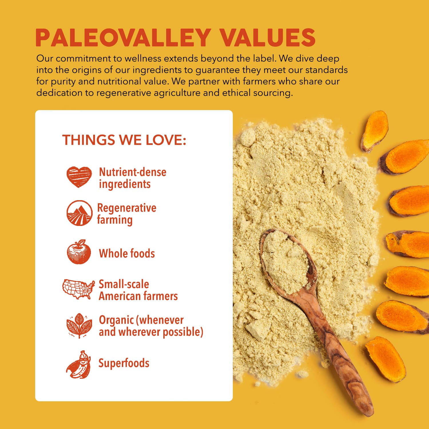 Paleovalley shiitake lion's mane reishi cordyceps blend
